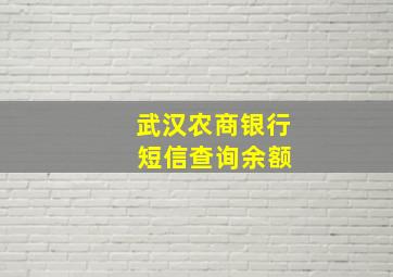 武汉农商银行 短信查询余额